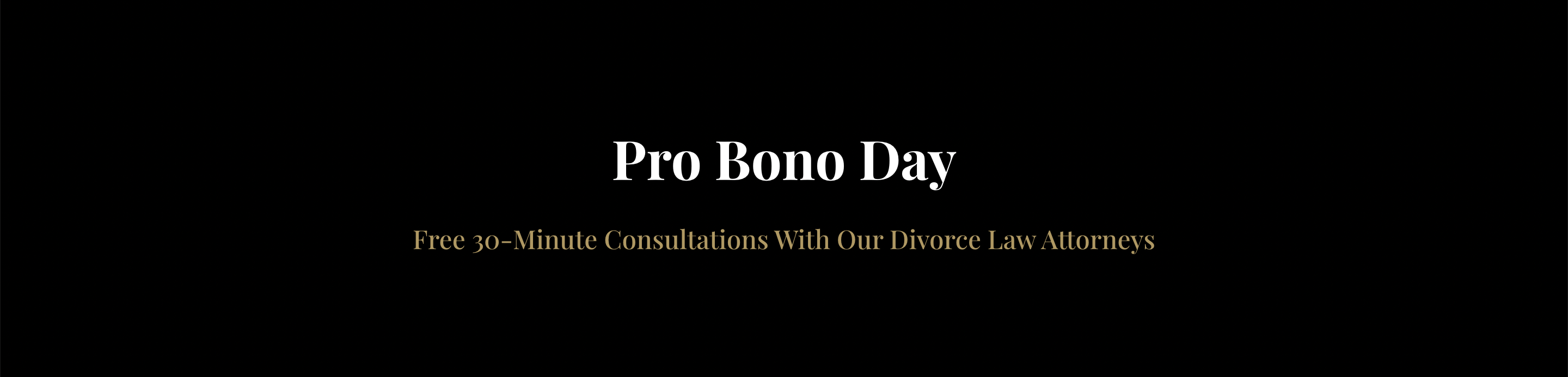 Pro Bono Day
